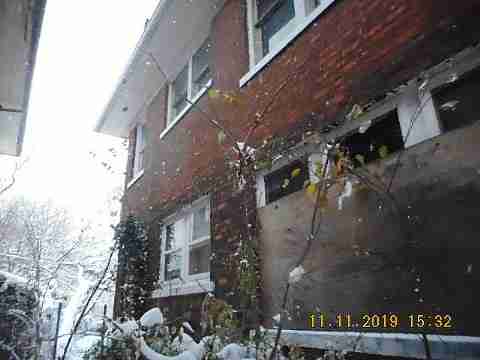 3319 Pingree (11)_m.jpg